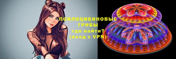 стаф Бронницы