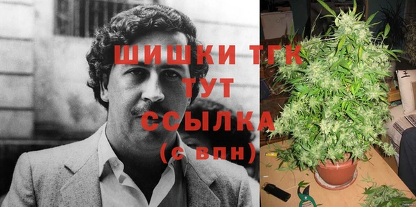 стаф Бронницы