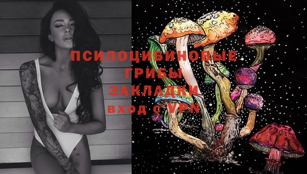 стаф Бронницы