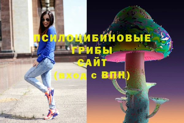 стаф Бронницы